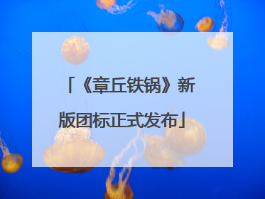 《章丘铁锅》新版团标正式发布