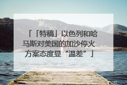 「特稿」以色列和哈马斯对美国的加沙停火方案态度显“温差”