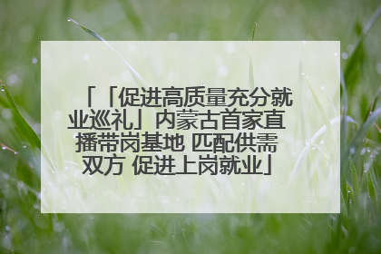 「促进高质量充分就业巡礼」内蒙古首家直播带岗基地 匹配供需双方 促进上岗就业