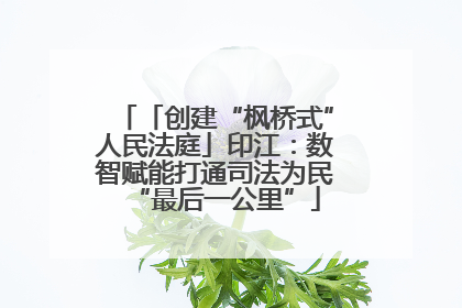 「创建“枫桥式”人民法庭」印江：数智赋能打通司法为民“最后一公里”