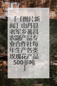 「图片新闻」山丹县老军乡蕃昌农副产品专业合作社每年生产各类玫瑰花产品500多吨