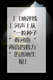 「地评线」河声丨从“一粒种子”看河南“两高四着力”的落地生根