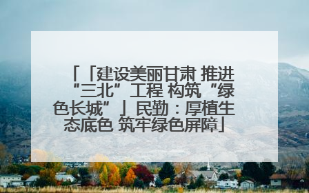 「建设美丽甘肃 推进“三北”工程 构筑“绿色长城”」民勤：厚植生态底色 筑牢绿色屏障