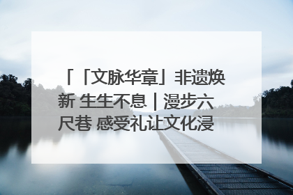 「文脉华章」非遗焕新 生生不息｜漫步六尺巷 感受礼让文化浸润的“巷”往生活