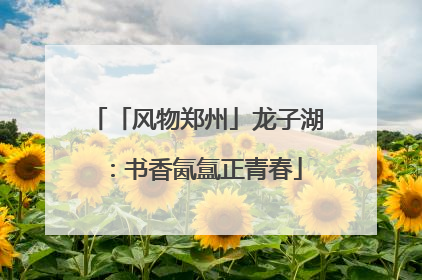 「风物郑州」龙子湖：书香氤氲正青春
