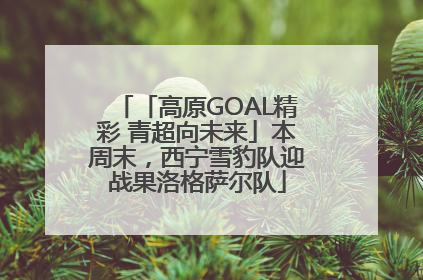 「高原GOAL精彩 青超向未来」本周末，西宁雪豹队迎战果洛格萨尔队