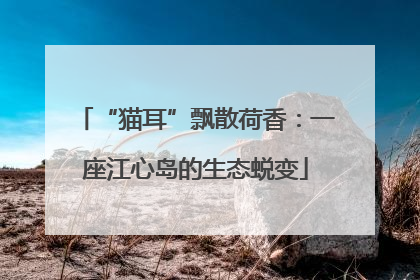“猫耳”飘散荷香：一座江心岛的生态蜕变
