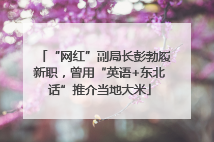“网红”副局长彭勃履新职，曾用“英语+东北话”推介当地大米