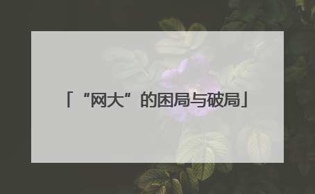 “网大”的困局与破局