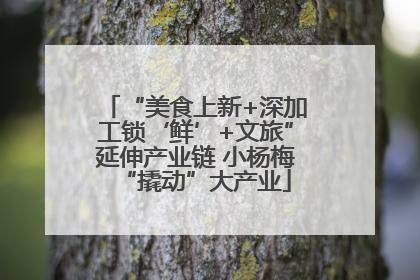 “美食上新+深加工锁‘鲜’+文旅”延伸产业链 小杨梅“撬动”大产业