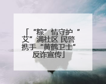 “粽”情守护“艾”满社区 民警携手“黄鹤卫士”反诈宣传