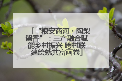 “粮安商河・陶梨留香”：三产融合赋能乡村振兴 跨村联建绘就共富画卷