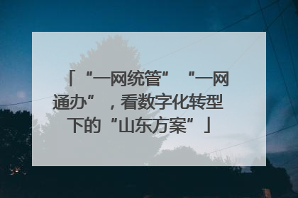 “一网统管”“一网通办”，看数字化转型下的“山东方案”