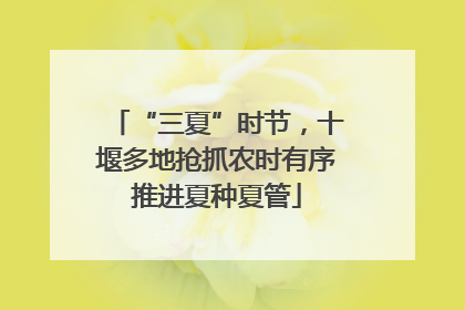 “三夏”时节，十堰多地抢抓农时有序推进夏种夏管