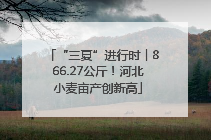 “三夏”进行时丨866.27公斤！河北小麦亩产创新高