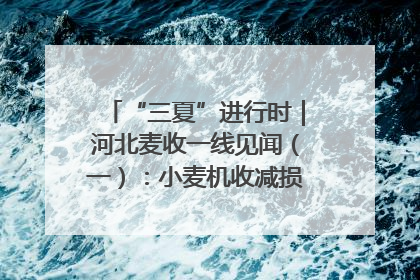 “三夏”进行时｜河北麦收一线见闻（一）：小麦机收减损“竞技” 农机高手麦田“过招”