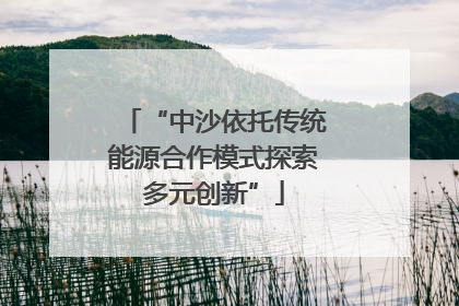“中沙依托传统能源合作模式探索多元创新”