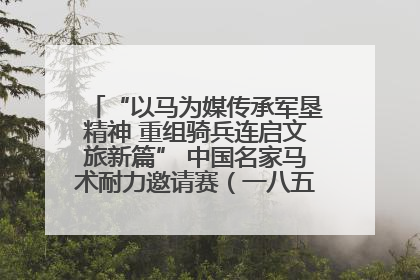 “以马为媒传承军垦精神 重组骑兵连启文旅新篇” 中国名家马术耐力邀请赛（一八五团站）暨重启骑兵连活动正式启动