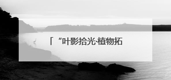 “叶影拾光·植物拓染”手作体验活动