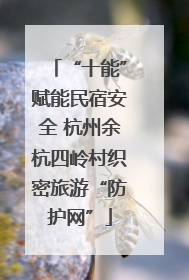 “十能”赋能民宿安全 杭州余杭四岭村织密旅游“防护网”