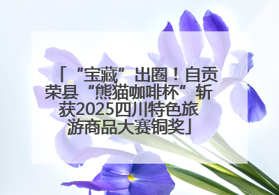 “宝藏”出圈！自贡荣县“熊猫咖啡杯”斩获2025四川特色旅游商品大赛铜奖