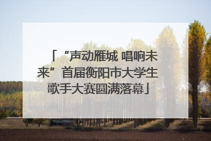 “声动雁城 唱响未来”首届衡阳市大学生歌手大赛圆满落幕