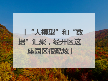 “大模型”和“数据”汇聚，经开区这座园区很酷炫