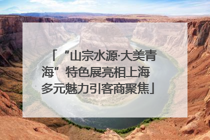 “山宗水源·大美青海”特色展亮相上海 多元魅力引客商聚焦