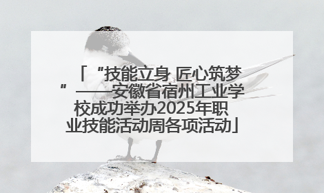 “技能立身 匠心筑梦”——安徽省宿州工业学校成功举办2025年职业技能活动周各项活动