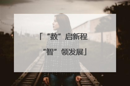 “数”启新程 “智”领发展