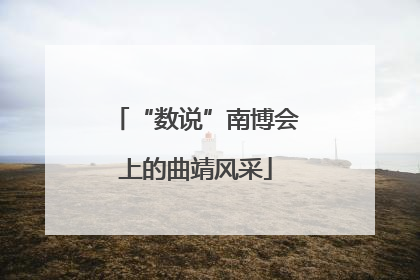 “数说”南博会上的曲靖风采