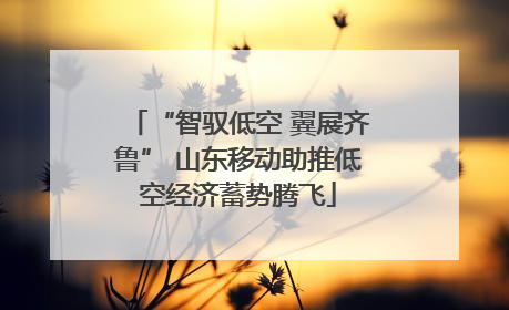 “智驭低空 翼展齐鲁” 山东移动助推低空经济蓄势腾飞
