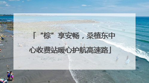 “棕”享安畅，桑植东中心收费站暖心护航高速路