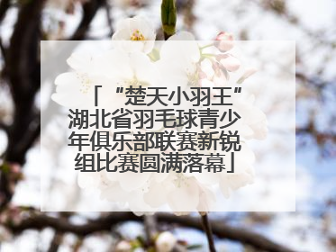 “楚天小羽王”湖北省羽毛球青少年俱乐部联赛新锐组比赛圆满落幕