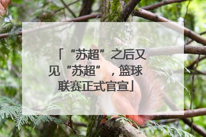 “苏超”之后又见“苏超”，篮球联赛正式官宣