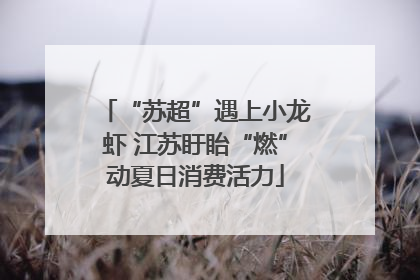 “苏超”遇上小龙虾 江苏盱眙“燃”动夏日消费活力