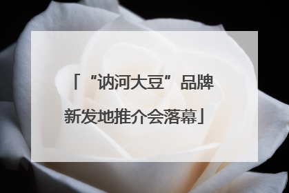 “讷河大豆”品牌新发地推介会落幕