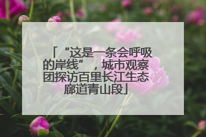 “这是一条会呼吸的岸线”，城市观察团探访百里长江生态廊道青山段