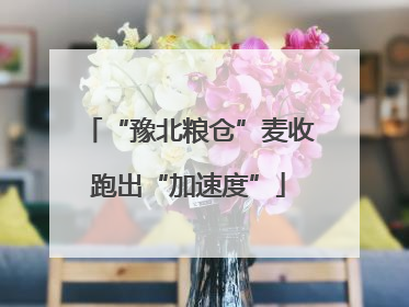“豫北粮仓”麦收跑出“加速度”