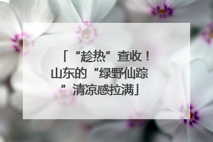 “趁热”查收！山东的“绿野仙踪”清凉感拉满