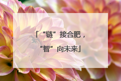 “链”接合肥，“智”向未来