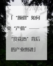“颜值”如何变“产值”——“赏花热”背后的产业图谱