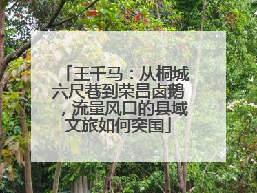 王千马：从桐城六尺巷到荣昌卤鹅，流量风口的县域文旅如何突围