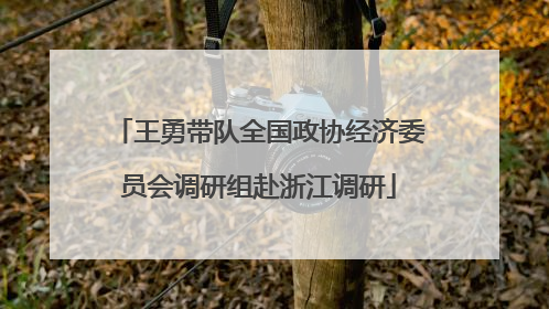 王勇带队全国政协经济委员会调研组赴浙江调研
