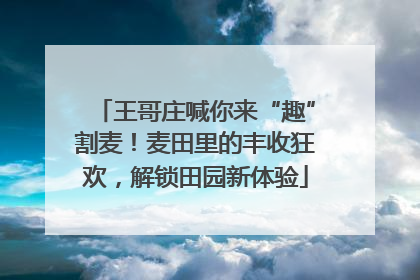 王哥庄喊你来“趣”割麦！麦田里的丰收狂欢，解锁田园新体验