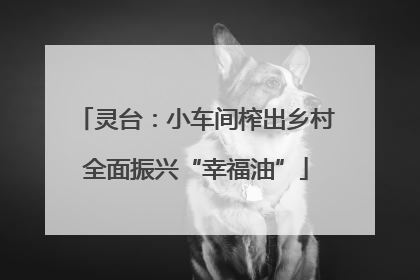 灵台：小车间榨出乡村全面振兴“幸福油”
