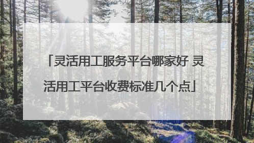 灵活用工服务平台哪家好 灵活用工平台收费标准几个点