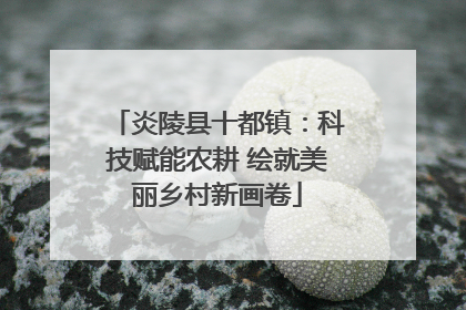 炎陵县十都镇：科技赋能农耕 绘就美丽乡村新画卷