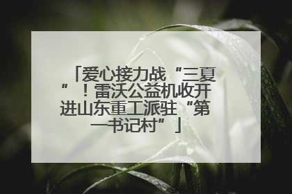 爱心接力战“三夏”！雷沃公益机收开进山东重工派驻“第一书记村”