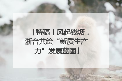 特稿丨风起钱塘，浙台共绘“新质生产力”发展蓝图